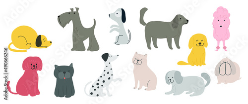 Fototapeta Naklejka Na Ścianę i Meble -  Set of cute dogs vector. Lovely dog and friendly puppy doodle pattern in different poses and breeds with flat color. Adorable funny pet and many characters hand drawn collection on white background.