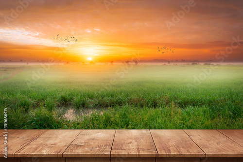 table and field