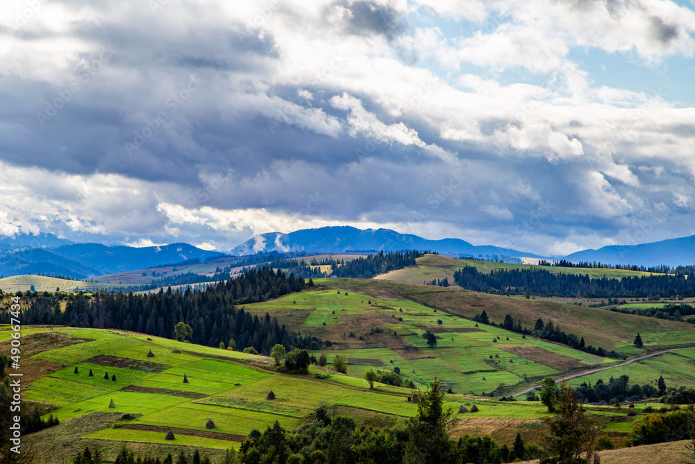 Fototapeta premium hills with forests in the countryside on a summer cloudy day. mountains landscape background.