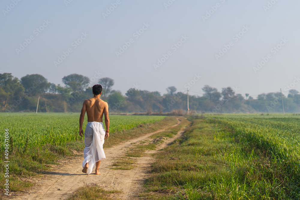 Young indian man walking in the green fields in a white dhoti. Agricultural and farmer concept. Young indian man walking in the green fields in a white dhoti. Agricultural and farmer concept.