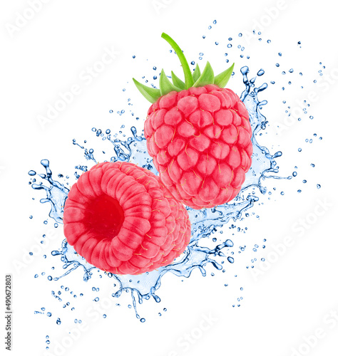 Raspberry in water splashes isolated on white background.