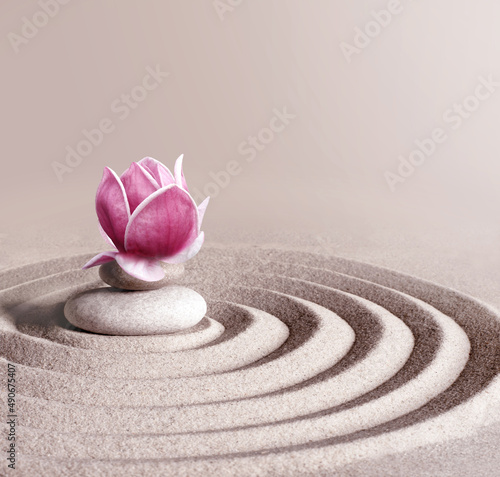 Japanese zen garden meditation stone and magnolia, concentration and relaxation sand and rock for harmony and balance.