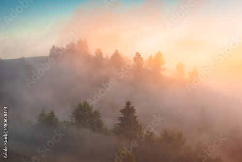 Majestic morning fog