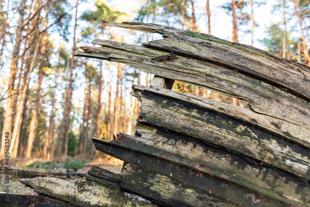 Old abandoned wooden fishing boat in the forest. Boat cemetery. Old abandoned wooden fishing boat in the forest. Boat cemetery.