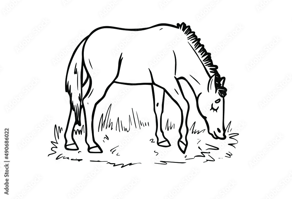 Horse cartoon style character design. Use it for children color book creation. Horse cartoon style character design. Use it for children color book creation.