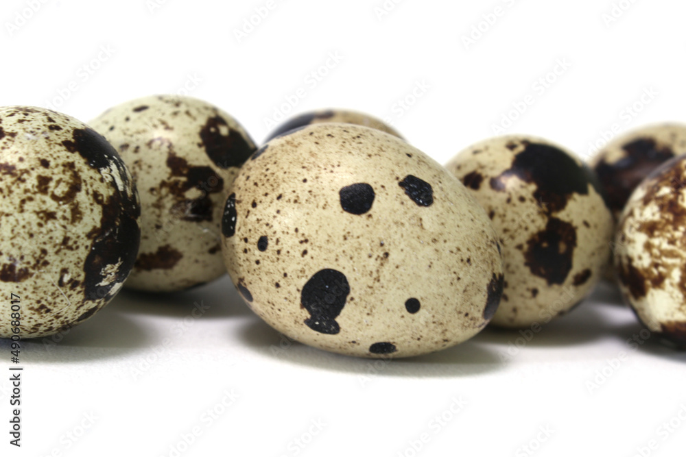 Obraz premium quail egg close-up on the background of other quail eggs