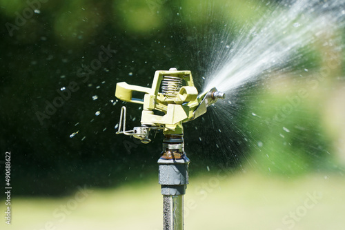Watering garden in summer with a sprinkler system