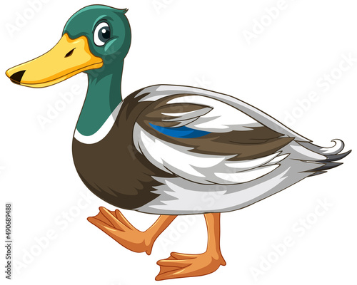 Little duck on white ground