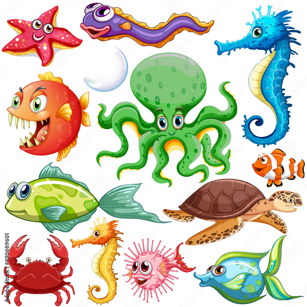 Fototapeta premium Different types of sea animals