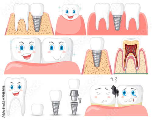 Set of all types of teeth on white background