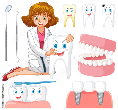 Set of all types of teeth on white background