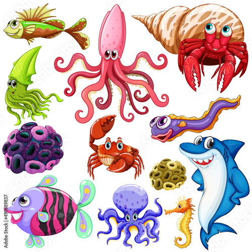Different types of sea animals
