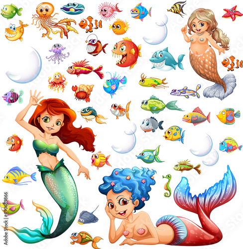 Different types of sea animals