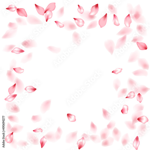 Pink sakura flower flying petals isolated on white vector background.