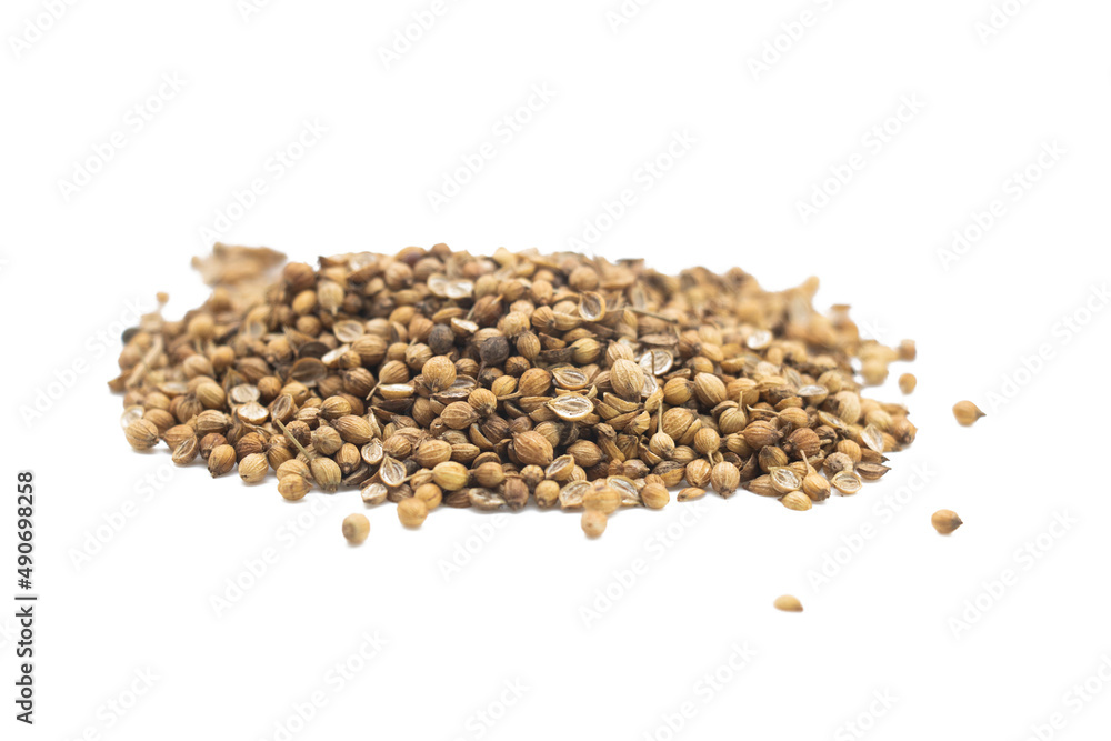 Coriander seeds placed on a white background Coriander seeds placed on a white background