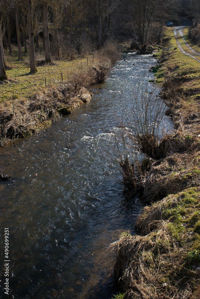 The Sioule river flows between the trees The Sioule river flows between the trees