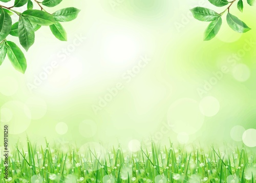 光に反射する美しい露の玉の付いた春の若草と植物のぼやけた緑の爽やかシンプルイラスト素材