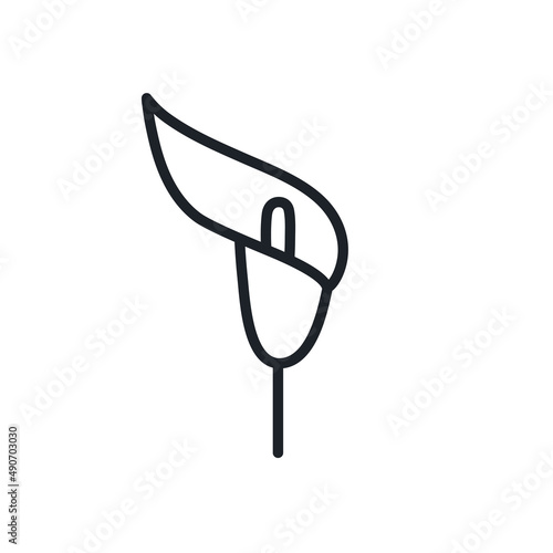Calla lily icon. Wedding flowers isolated vector icons