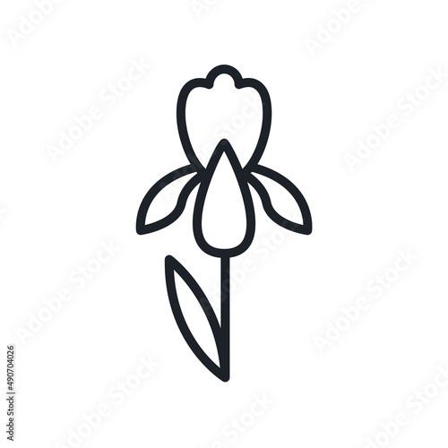 Iris flower icon. Garden flowers isolated vector icon