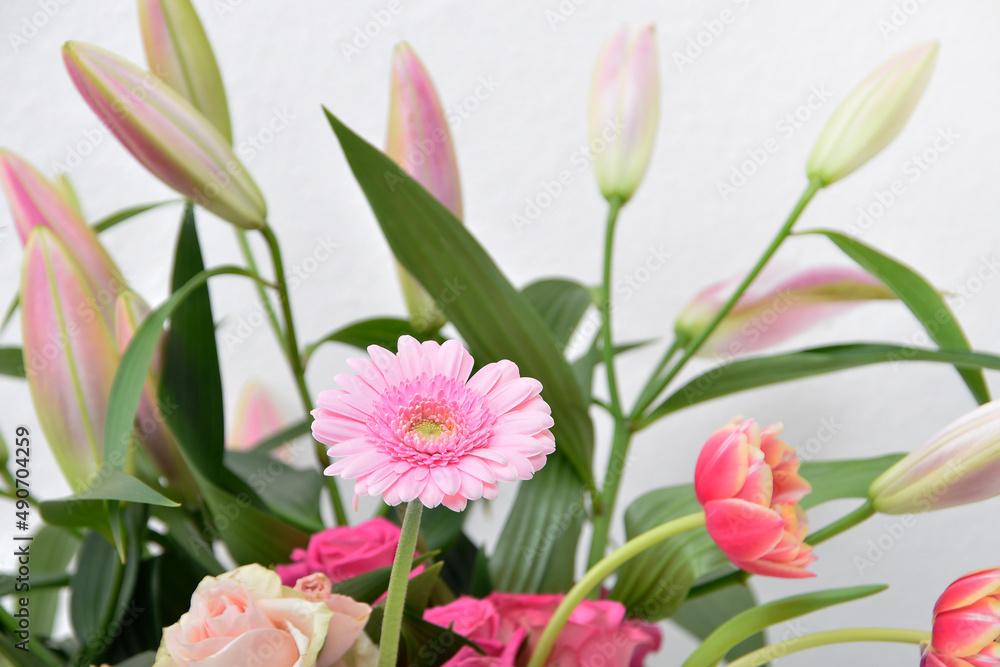 Obraz premium Composition with beautiful blooming Tulips and Barberton Daisy (Gerbera jamesonii) flowers on white background , pink colors , macro 