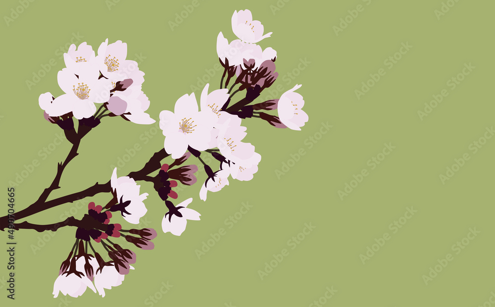 02_cherry blossom_5000x3100 02_cherry blossom_5000x3100