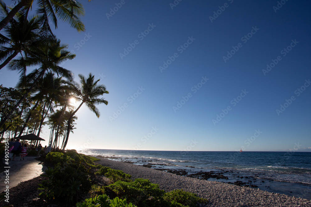 午後のハワイ島ワイコロアの椰子の木が立ち並ぶ海岸とはるか沖に見えるヨット。