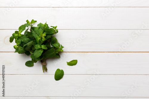 Mint leaf. Fresh mint on Colored background. Mint leaves isolated Top view with copy space