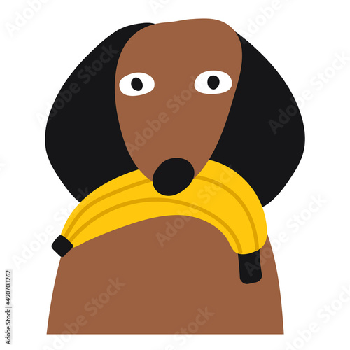 Dachshund eat banana. Illustration on white background.