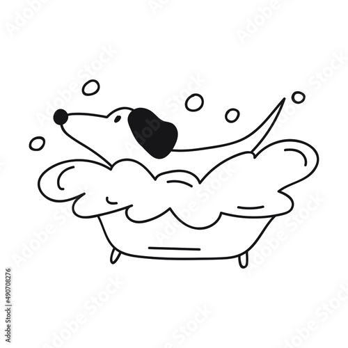 Dachshund taking a bath. Outline vector illustration.