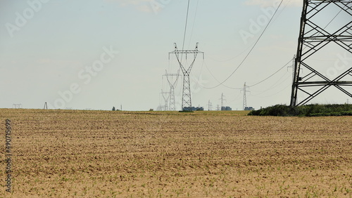 City power poles running across suburban areas © Andrzej - RajPlanet