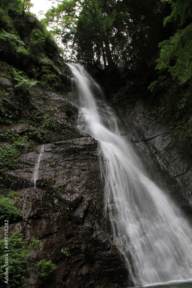 Obraz premium 閑定の滝