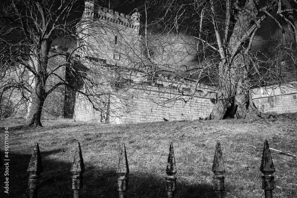 Fototapeta premium Alte Burg in S/W