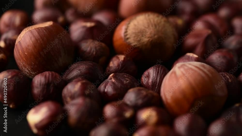 hazelnuts rotate,bean healthy food,raw hazelnut on black
hazelnuts rotate,bean healthy food,raw hazelnut on black