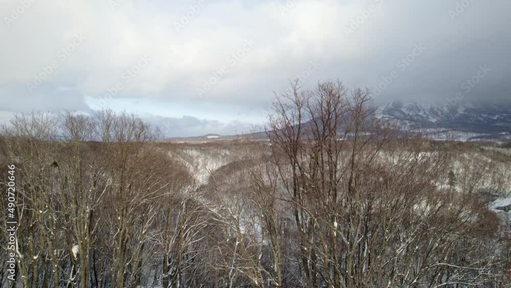 Snowy, Cloudy day over nature in Hokkaido, Japan with Mount Yotei in the Background Snowy, Cloudy day over nature in Hokkaido, Japan with Mount Yotei in the Background