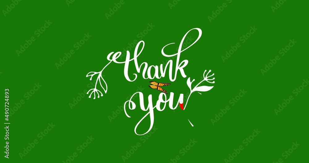 Thank You text animation with a butterfly perching on a leaf, handwritten in white on a green screen. Thank you animation, suitable for celebrations, wishes, events, messages, holidays, and festivals. Thank You text animation with a butterfly perching on a leaf, handwritten in white on a green screen. Thank you animation, suitable for celebrations, wishes, events, messages, holidays, and festivals.