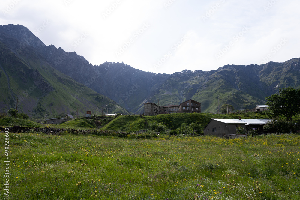 Mountains of Georgia, with a blue sky and a green grass where a flower blooms.