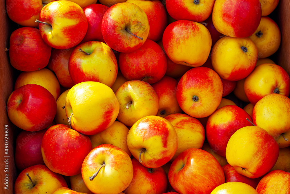 Lots of red and yellow apples in a box. Texture of round apples close up. Sale of fruit at the market and supermarket. Lots of red and yellow apples in a box. Texture of round apples close up. Sale of fruit at the market and supermarket.
