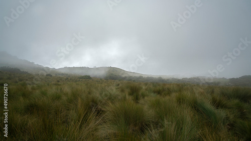 Obraz na plátně Andean paramo landscape on the slopes of the Pichincha volcano without people on