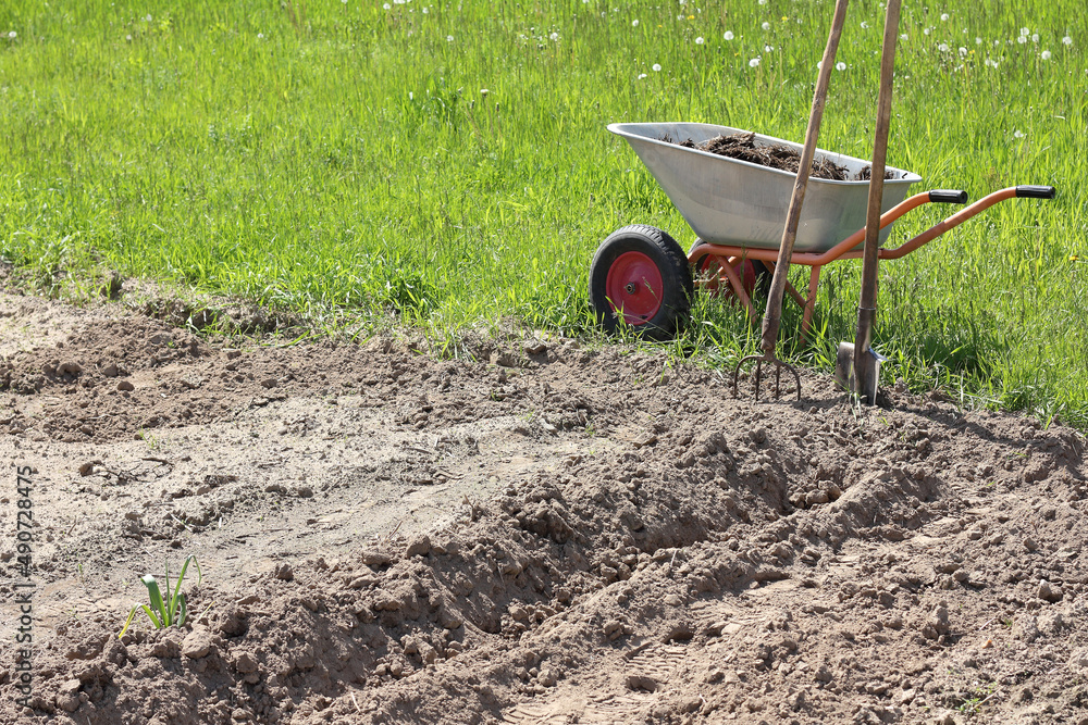 garden wheelbarrow with manure and a shovel with a pitchfork on the edge of a plowed area. application of natural fertilizers garden wheelbarrow with manure and a shovel with a pitchfork on the edge of a plowed area. application of natural fertilizers