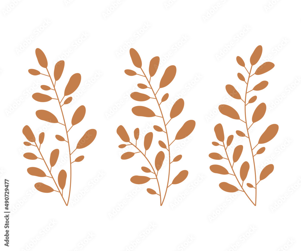 leaves vector elements, hand drawn leaves, branch with leaves, elegant illustration for design leaf