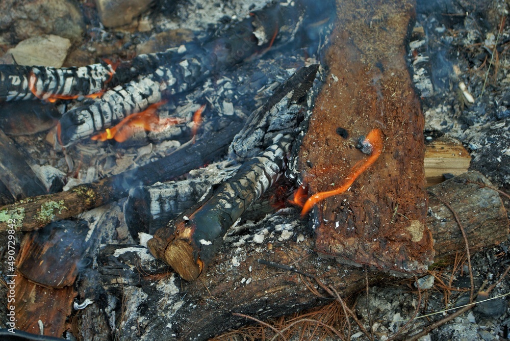 camp fire burning in a fire pit