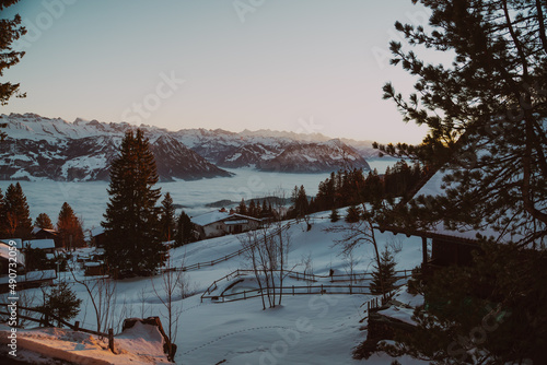 Swiss alps in winter photo