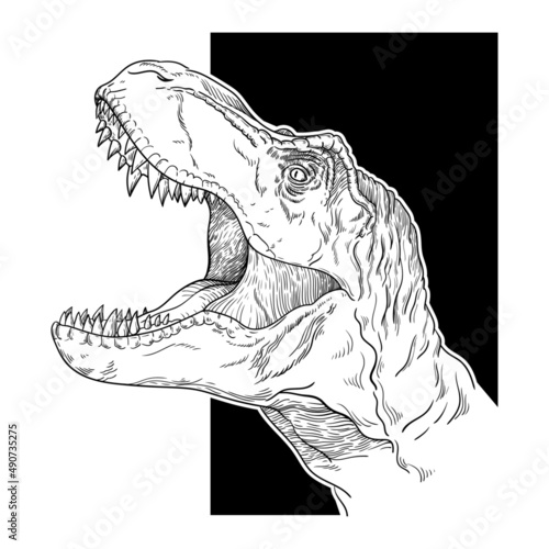 black and white line illustration tyrannosaurus rex
