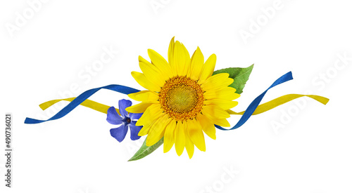Yellow sunflower and blue p...