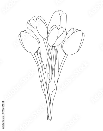 Bouquet of spring flowers tulips isolated on white background Illustration