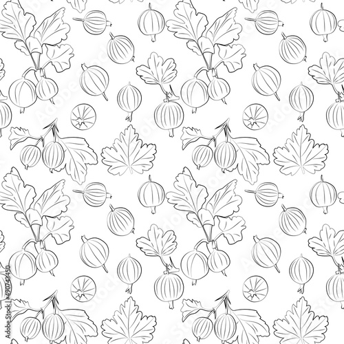 Gooseberry seamless pattern on white background. Vector illustration of black and white berries. Vector outline and silhouette contour image, 1000x1000