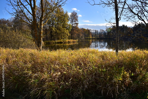 Maly hrbovsky rybnik, Blansky les in the background © Radko