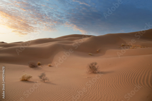 Rub al-Khali sand dunes