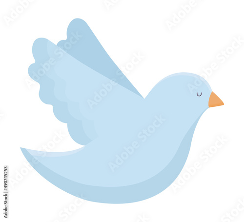 holy dove design