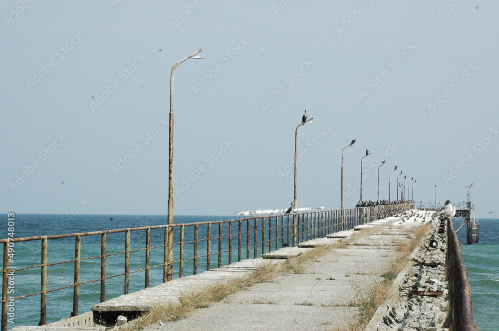 Pier with Line of Seabirds